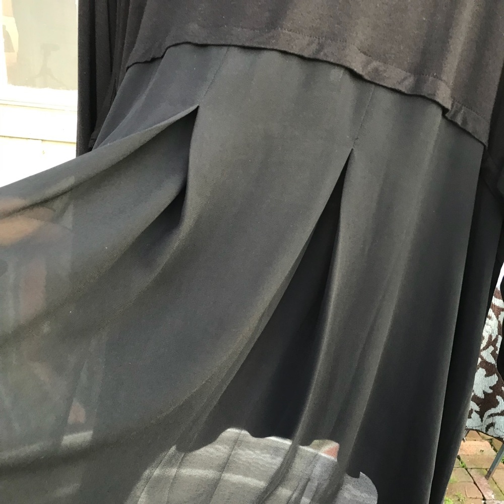 Top with Sheer Pleated Back